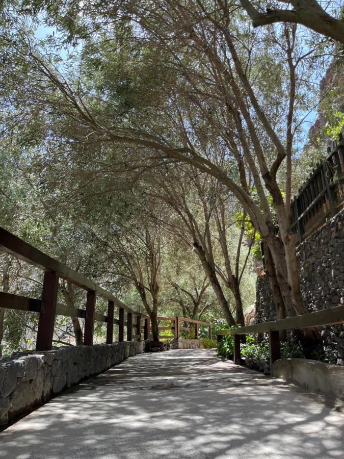 Casa Rural Guayadeque Ca'Juani インヘニオ エクステリア 写真